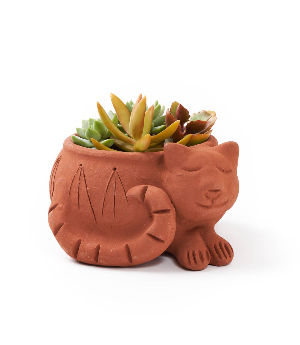 terracotta cat planter pot Rakshana Cat Plant Pot