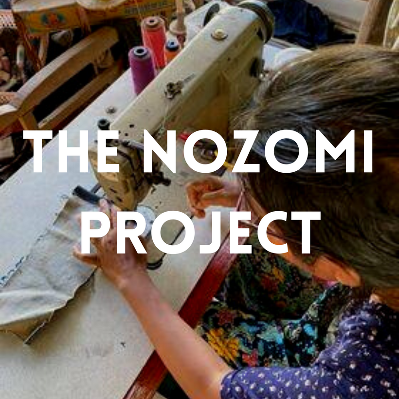 THE NOZOMI PROJECT