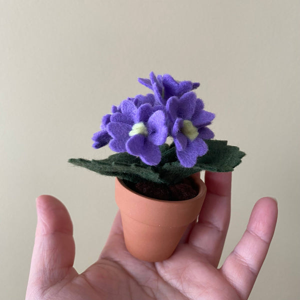 Primrose Felt Forever Flower