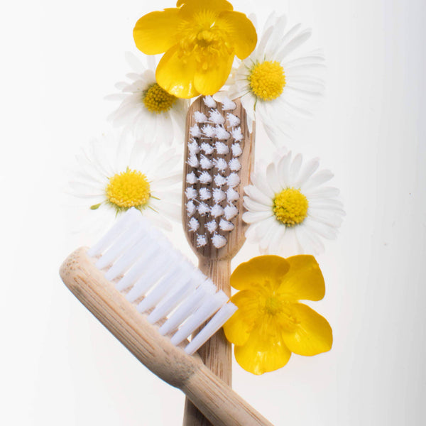 Adult Bamboo Toothbrush