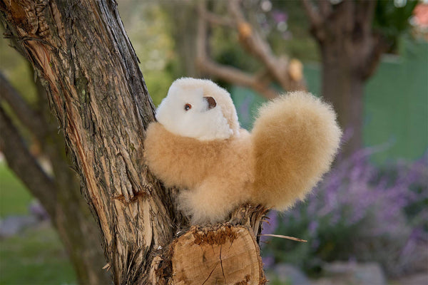 ALPACA SQUIRREL FRIEND