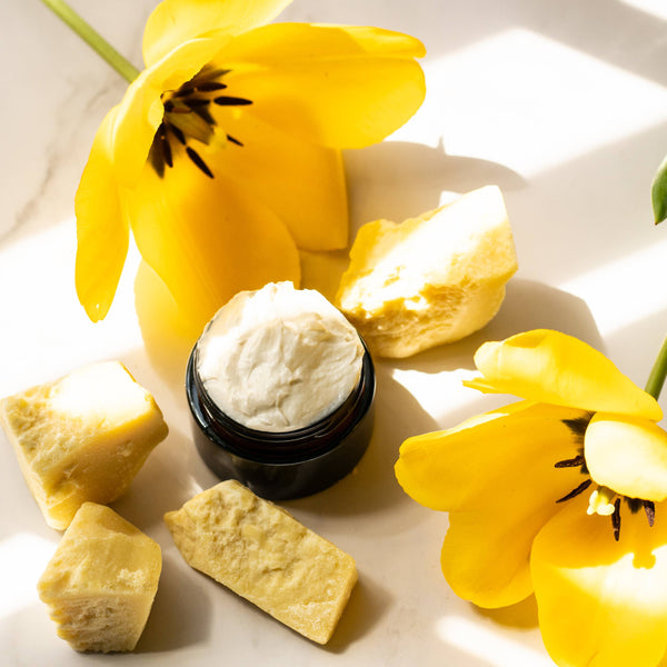 Cupuaçu Butter Unrefined for Body Butter & Skincare (Small)