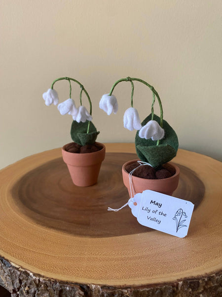 Lily of the Valley (May)