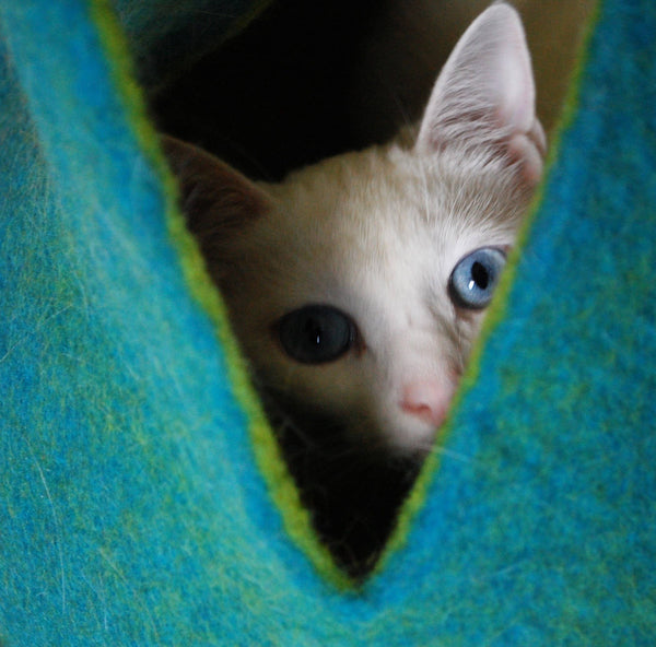 Aqua/ Green Petal Wool Pet Basket