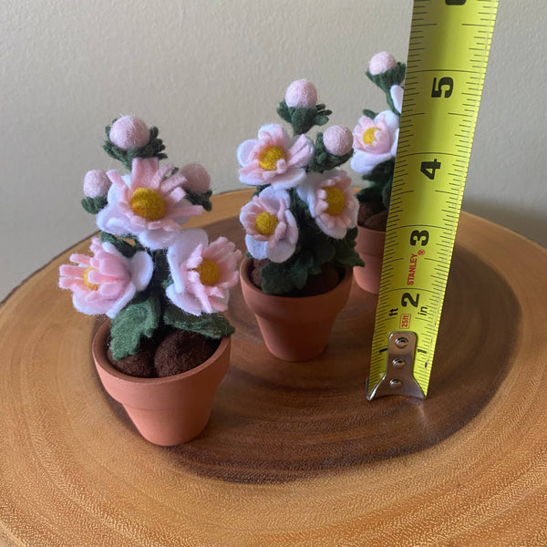 Hawthorn Felt Forever Mini Birth Month Flower (May)