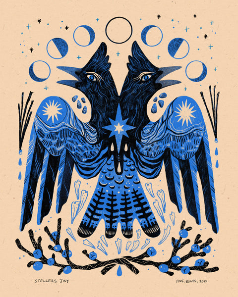 Stellers Jay - 8x10 Nature Wilderness Art Print 