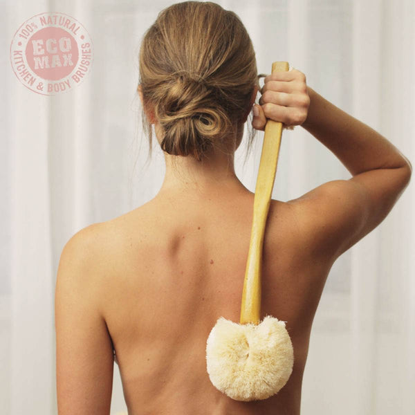 Back Body Brush (Wet or Dry) All Natural