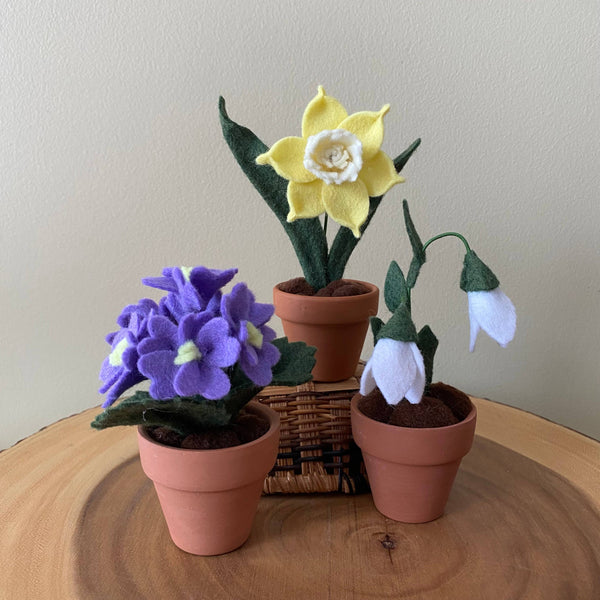 Primrose Felt Forever Flower