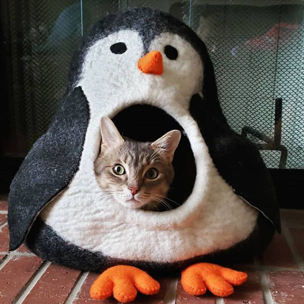 Penguin Cave