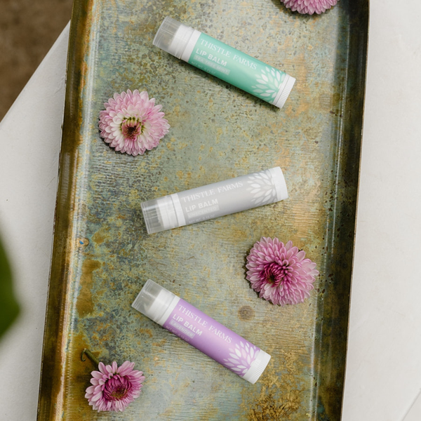 Organic Shea Butter & Beeswax Lip Balm | Tea Tree Mint