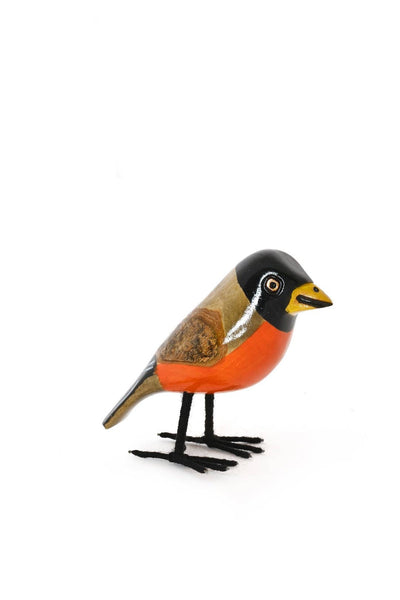 Jacaranda Wood Robin Sculpture