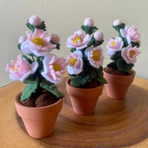 Hawthorn Felt Forever Mini Birth Month Flower (May)