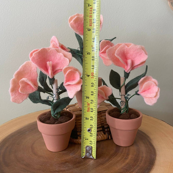 Sweet Pea Felt Forever Plant (April Birth Month Flower)