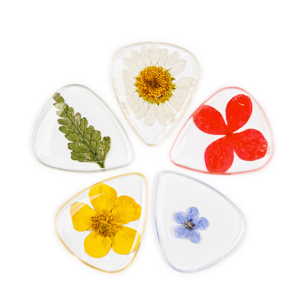 Flower Guitar Picks - Variety | Novelty Gift for Music Lover