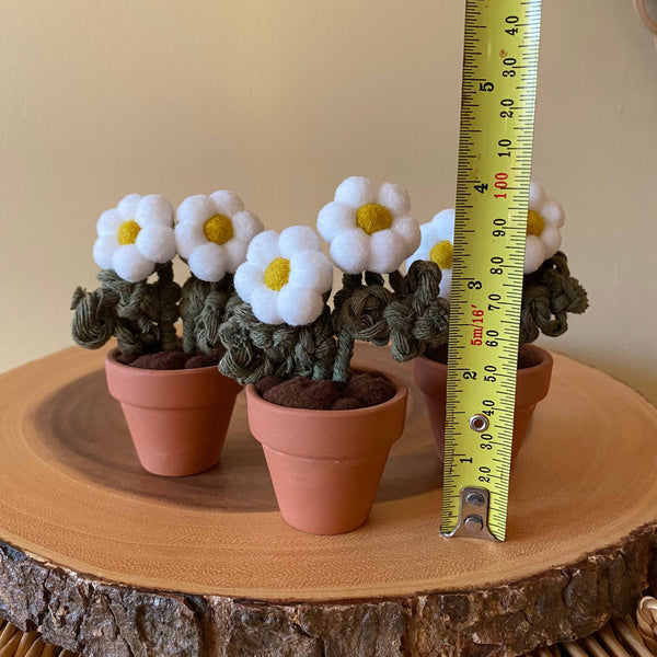 Pompom, Felt & Macrame Forever Fibre Flower -Mini Double