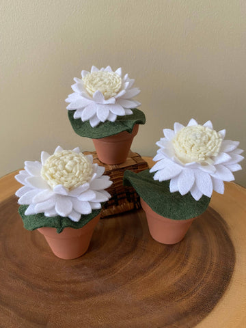 Water Lily Felt Forever Plant