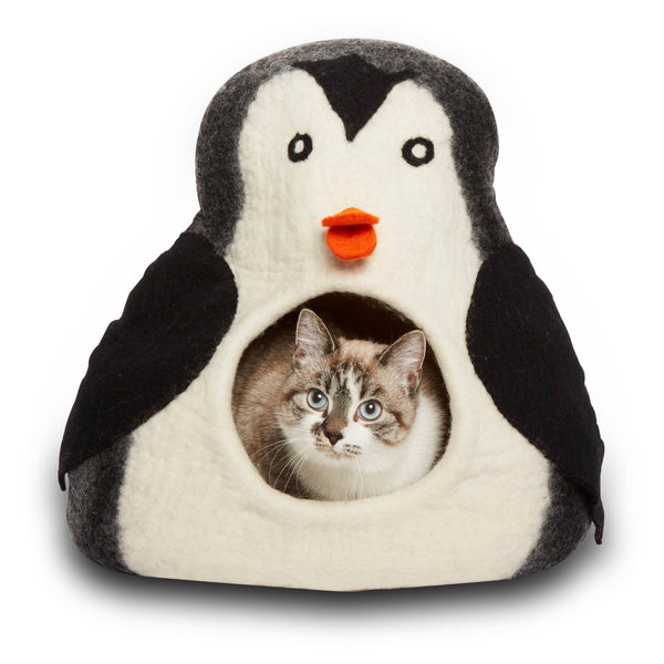 Penguin Cave