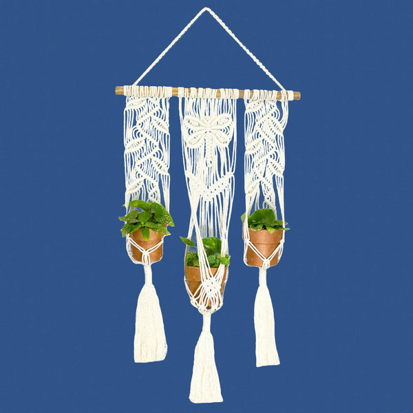 Triple Nature Plant Hanger