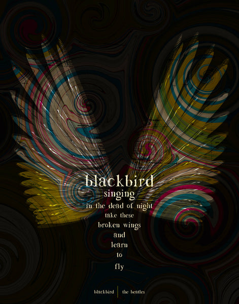 The Beatles - Blackbird
