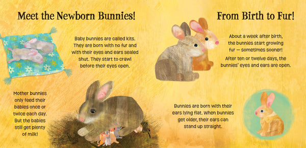 Baby Animals: Bunnies Know & Grow