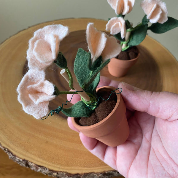 Sweet Pea Felt Forever Plant (April Birth Month Flower)