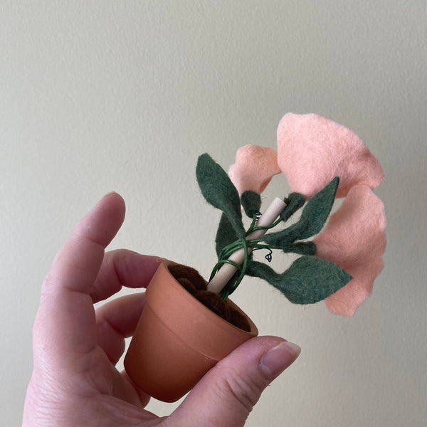 Sweet Pea Felt Forever Plant (April Birth Month Flower)