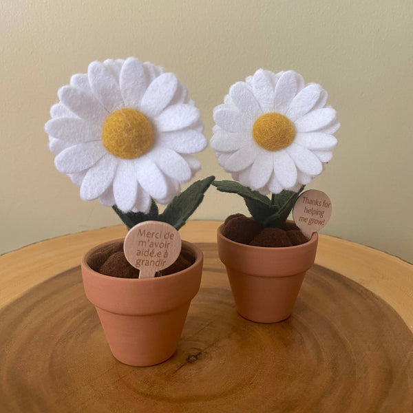 “Thanks for Helping me Grow” Daisy Felt Flower