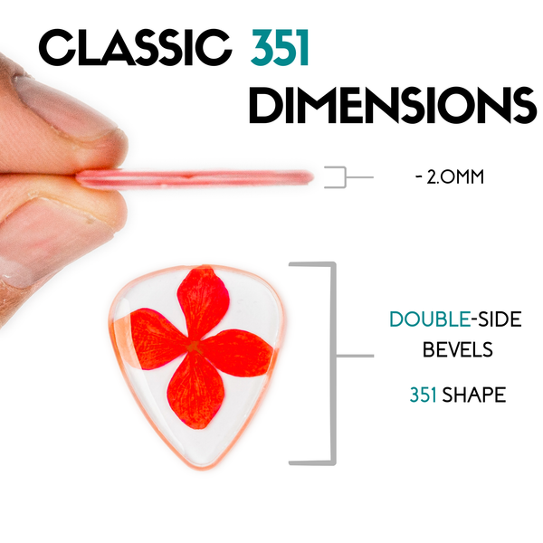 Flower Guitar Picks - Variety | Novelty Gift for Music Lover