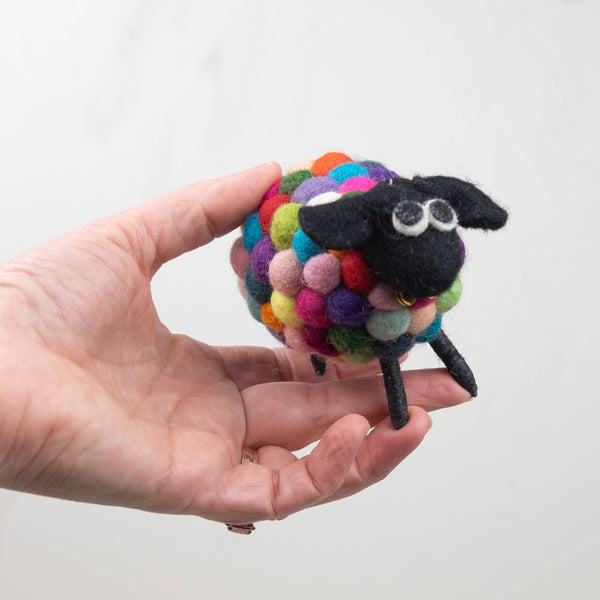 Sheep - sensory play - Ball - Rainbow