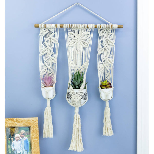 Triple Nature Plant Hanger