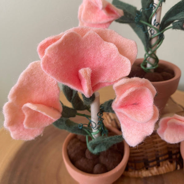 Sweet Pea Felt Forever Plant (April Birth Month Flower)