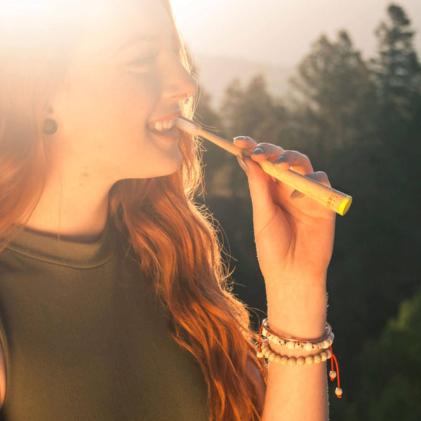 Adult Bamboo Toothbrush