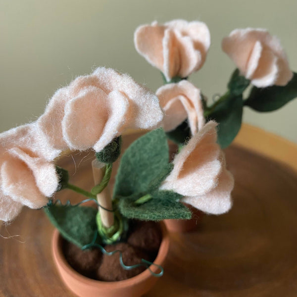 Sweet Pea Felt Forever Plant (April Birth Month Flower)