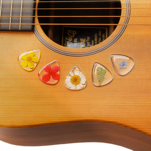 Flower Guitar Picks - Variety | Novelty Gift for Music Lover