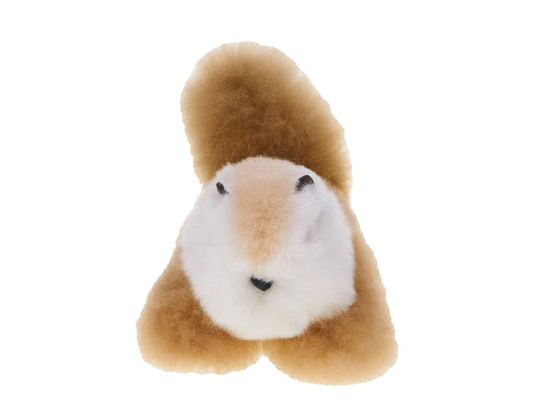 ALPACA SQUIRREL FRIEND