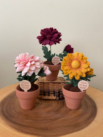 Mother’s Day Chrysanthemum Felt Forever Flower