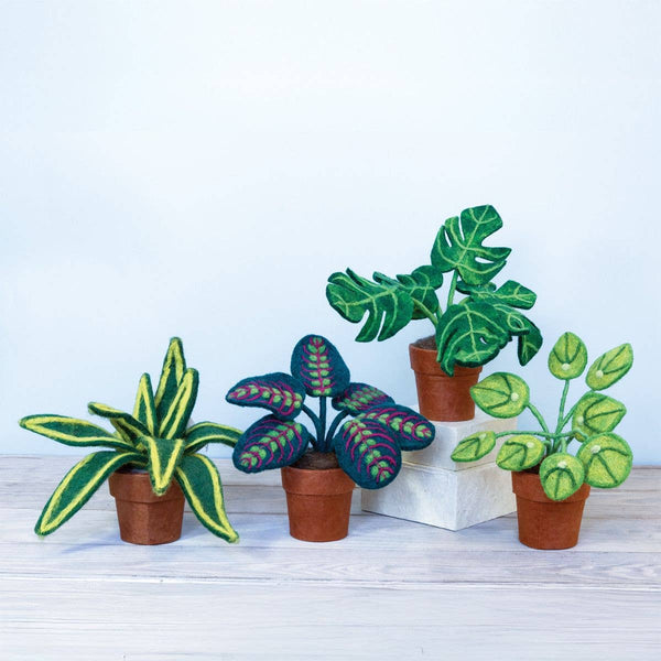 Prayer Plant Felt Plant