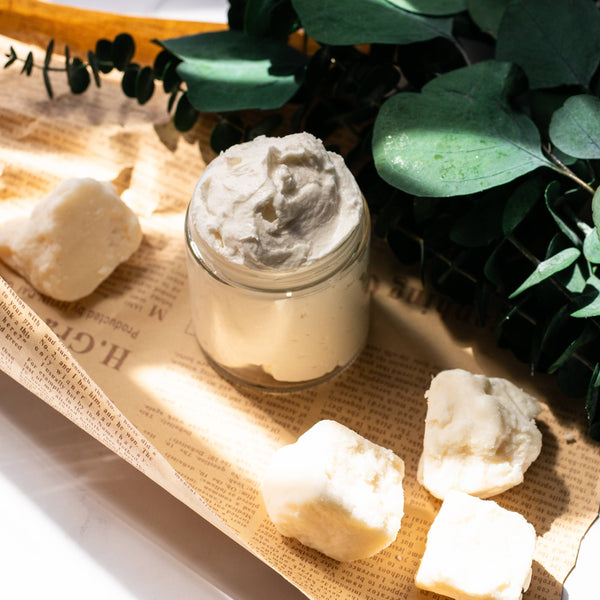 Refined Shea Butter for Skincare & Body Butter (Large)