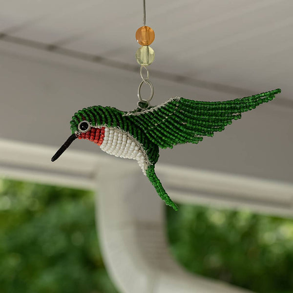 Hummingbird