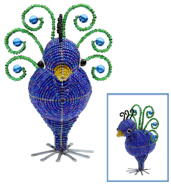 Peacock Baby