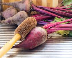 Veggie Brush w/Handle - All Natural, Handmade