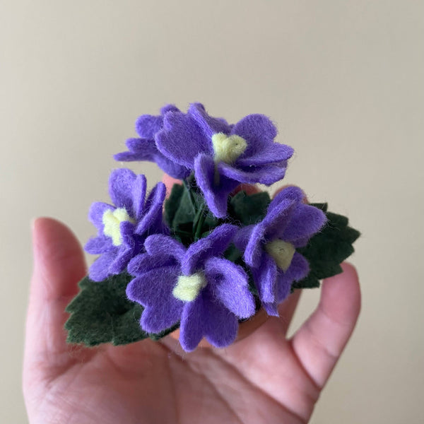 Primrose Felt Forever Flower