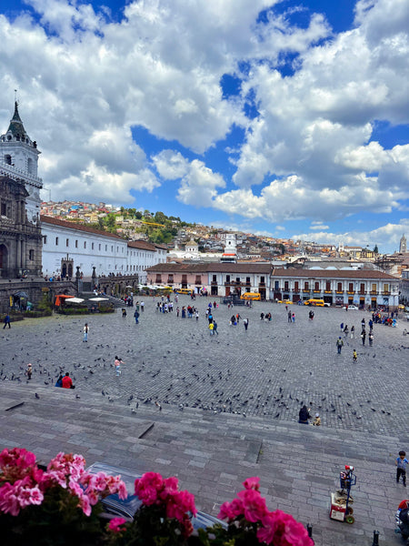 Ecuador Trip 2027