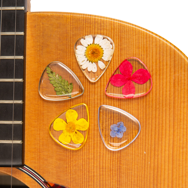 Flower Guitar Picks - Variety | Novelty Gift for Music Lover