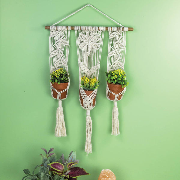 Triple Nature Plant Hanger
