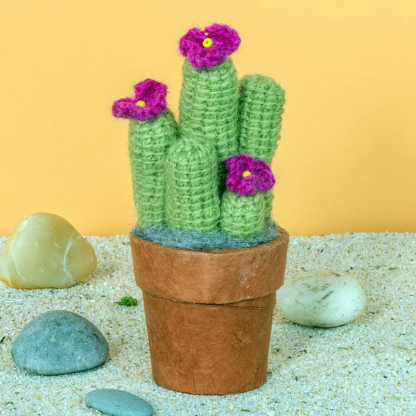 Cactus: Crochet Ladyfinger