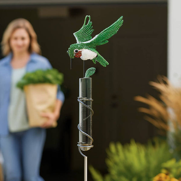 Rain Gauge Hummingbird