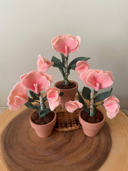 Sweet Pea Felt Forever Plant (April Birth Month Flower)