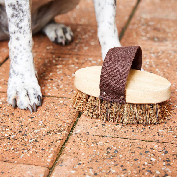 Dog/Pet Grooming Brush - All Natural