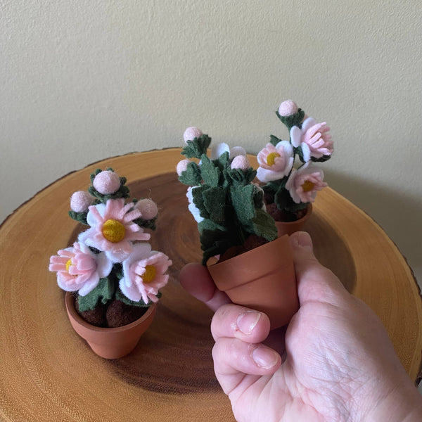 Hawthorn Felt Forever Mini Birth Month Flower (May)